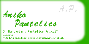 aniko pantelics business card